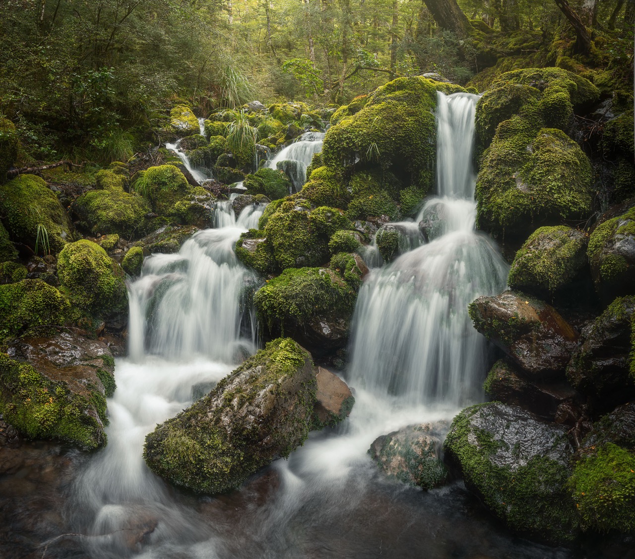 Samuele Quaranta Enchanted Nature - Artdoc Photography Magazine